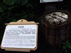-赤坎古镇影视城