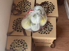 -南汇新场正宗水蜜桃采摘