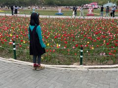 -北陵公园