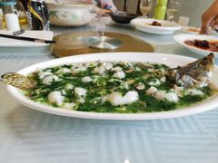-蝶苑(吴江路店)