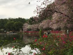 -星湖旅游景区七星岩