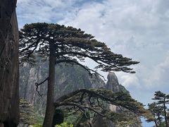-黄山风景区