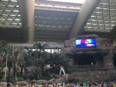 -杭州开元森泊度假乐园