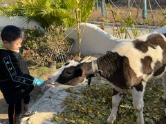 -HERRE·FARM 赫尔露营农场·团建聚会包场