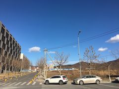 -星海湾跨海大桥