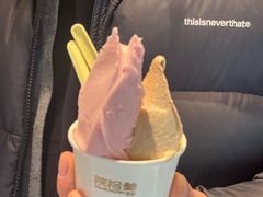-陕拾叁-西安糕点(北院门创始店)