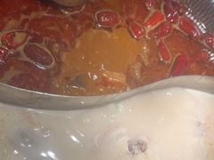 -捞王猪肚鸡火锅(金华义乌之心店)