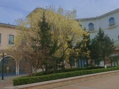 -青岛方特梦幻王国