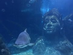 -暹罗海洋世界