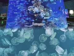 -多彩贵州城极地海洋世界