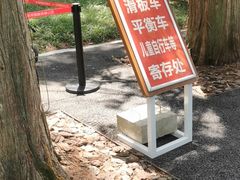 -东平国家森林公园