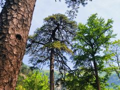-北京上方山国家森林公园