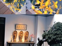 -觀芷隐轩