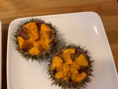 -海胆小馆(东北水饺·春柳店)