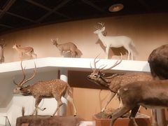 -陕西自然博物馆