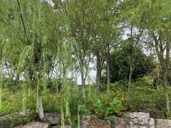 -狼山风景名胜区