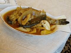 -孔庆璞河豚馆(白玉兰酒店)