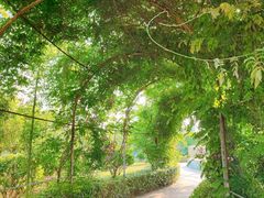 -如皋市龙游湖欢乐世界