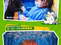 -郑州银基国际旅游度假区