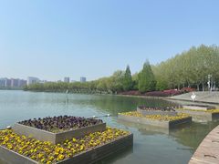 -天鹅湖体育公园