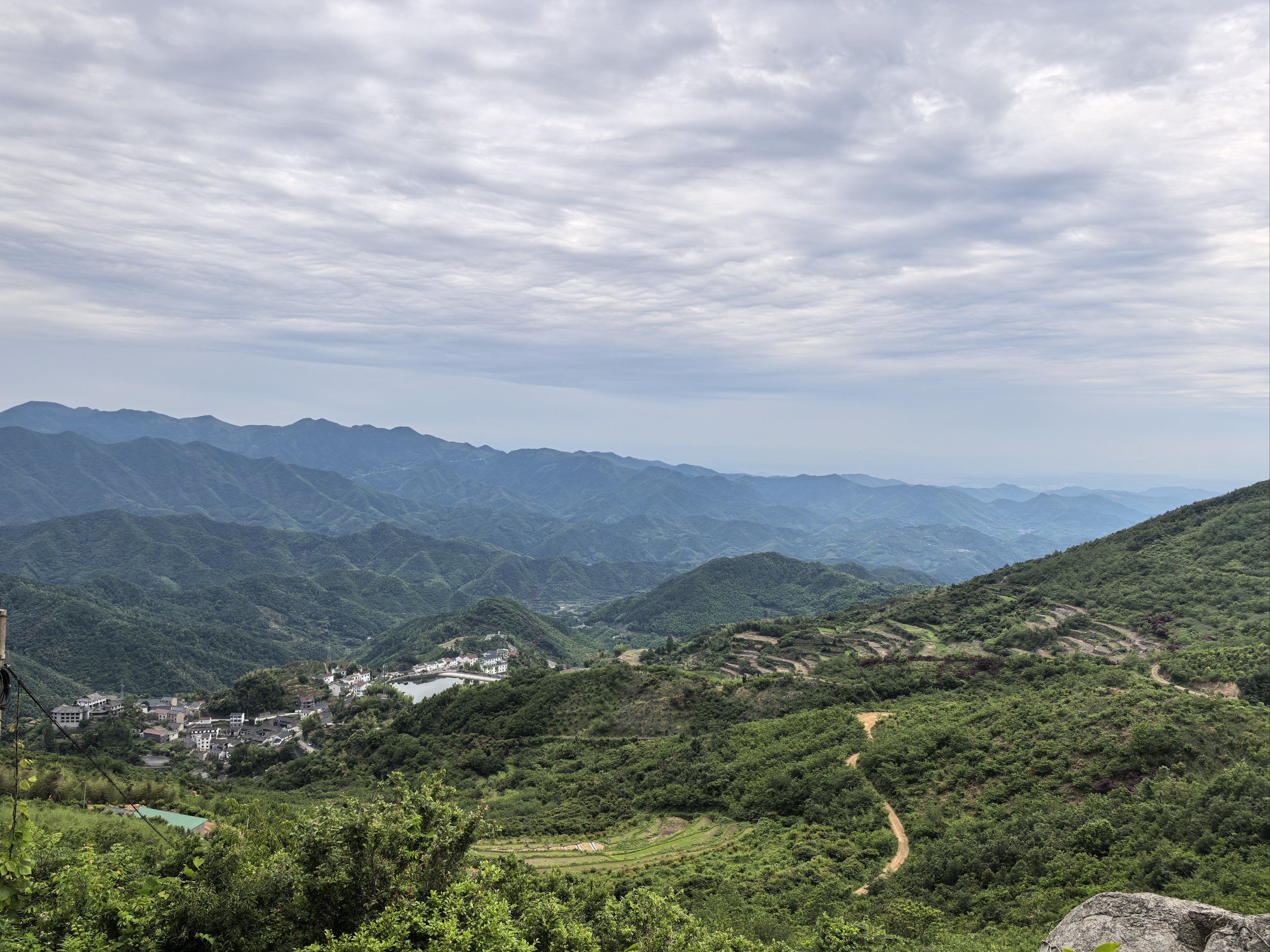 山顶绿意浓浓哒