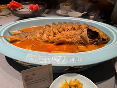 -阿五黄河大鲤鱼(英协路店)