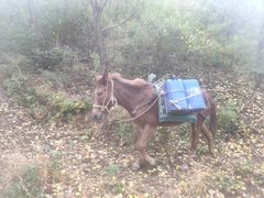 -蟠龙山长城景区