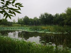 -东郊湿地公园