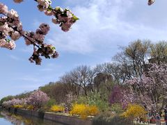 -元大都城垣遗址公园