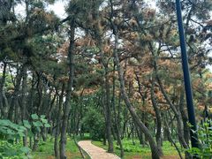 -老虎石海上公园