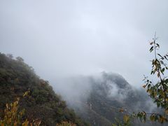-大岭沟猕猴桃谷风景区