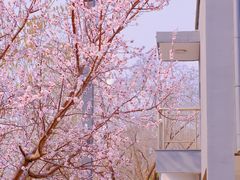 -安定门(地铁站)