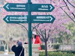-新江湾城公园