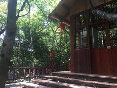 -七仙岭温泉国家森林公园
