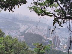 -梧桐山风景名胜区