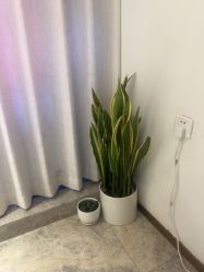 -哈尔滨瑞丽医疗美容医院