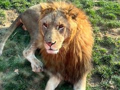 -北京野生动物园