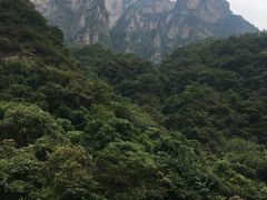 -云台山风景名胜区