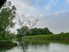 -西溪国家湿地公园