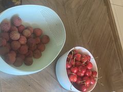 -上海菊园樱桃研究所