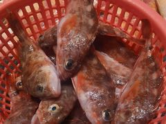 -抱德·潮汕味(敦和店原惠城鱼仔)