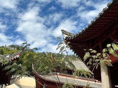-阿育王寺
