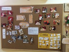 -滚猫咖啡·猫咖·猫友好撸猫(未来城店)