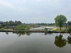 -渝都天星老街豆花