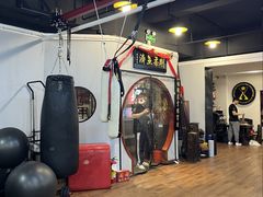 -温鉴良实用咏春拳