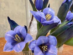 -森野花艺培训·企业团建活动沙龙