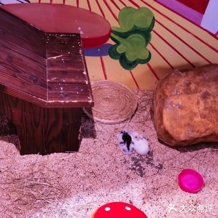 畅游萌宠乐园一整天，两大一小只要150元