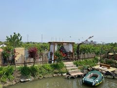 -樂桃源奉贤黄桃种植采摘基地