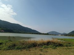 -风云岭森林公园