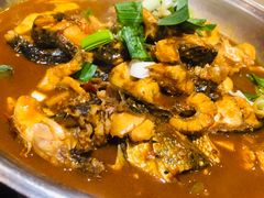 -刘胖子家常菜·蹄花焖藕(中南店)